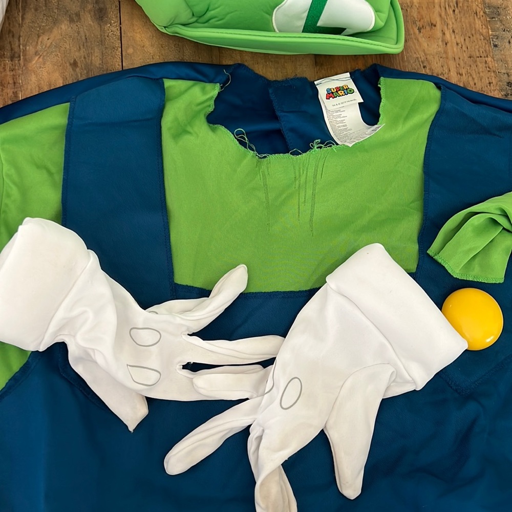 Adult Luigi costume from super Mario brothers